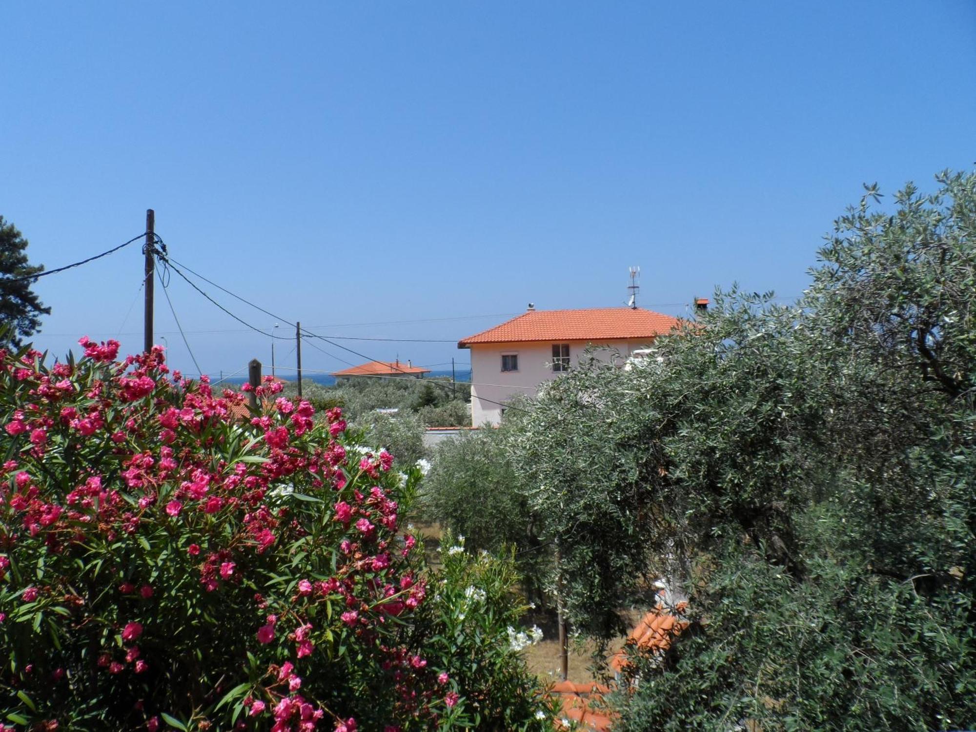 Amarilia Aparthotel Σκάλα Ραχωνίου Εξωτερικό φωτογραφία